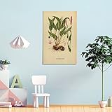 Para la impresión de imágenes, utilizamos tinta resistente a la decoloración para hacerlo de acuerdo con los más altos estándares, y el color y el estilo se pueden aplicar en cualquier lugar. Muy adecuado para la decoración del hogar, pintura de decoración de paredes perfecta para sala de estar, dormitorio, cocina, oficina, hotel, restaurante, baño, bar, etc.
