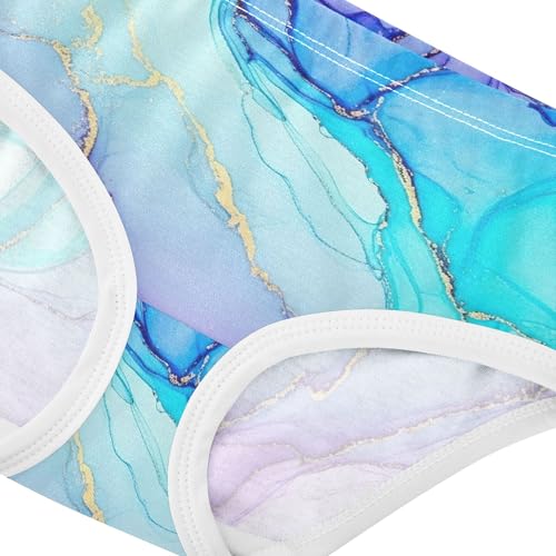 Watercolor Swirls Blue Purple Girls Underwear Toddler 2t Cotton Little Girl Panties Florals Briefs Girls Undies4