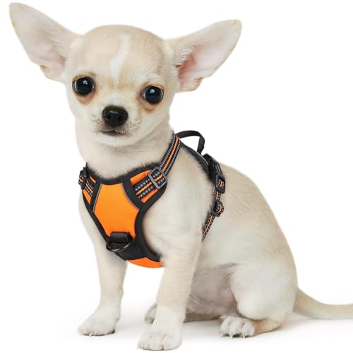 Image of Eagloo Dog Harness for Small Dogs, No Pull Pet Vest with 2 Leash Clips