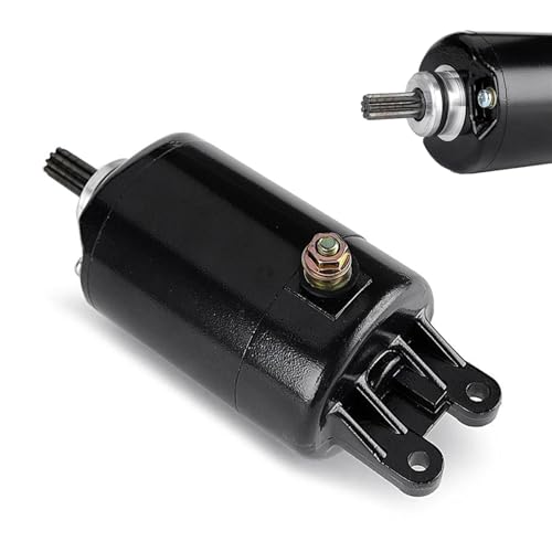 Démarreur électrique de moto PS250 Big Ruckus pour un allumage fluide