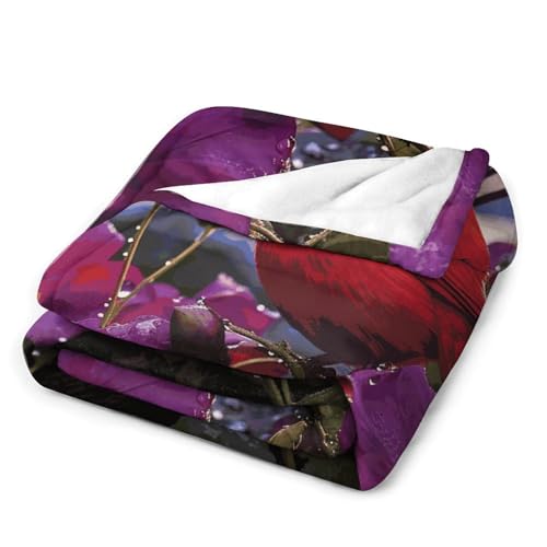 Couverture microfibre de luxe violette : douceur et élégance pour lit - 4