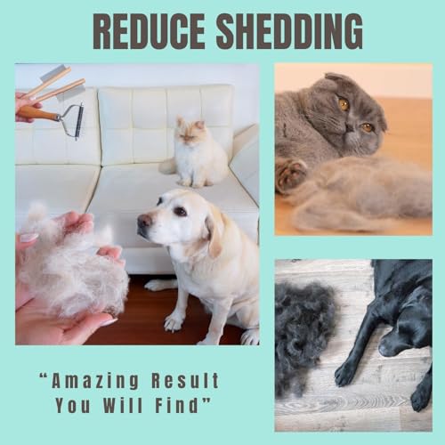 Dog-Cat-Brush-for-Shedding-Dematting-3-Pack-Pet-Grooming-Kit-of-Double-Sided-Undercoat-rake-and-Pet-Combs-Deshedding-Brush-Premium-Wood-Handle Dog Cat Brush for Shedding Dematting 3 Pack Pet Grooming Kit of Double Sided Undercoat rake and Pet Combs Deshedding Brush Premium Wood Handle