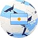 Tripact Inc World Flag Country Argentina Training Outdoor Soccer Ball Size 5 Futol Size (Size 5)