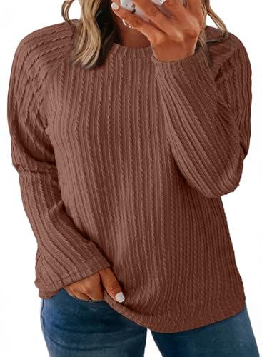 Eytino Women Plus Size Tops Crew Neck Pullover Blouse Shirt, Brown, 3X