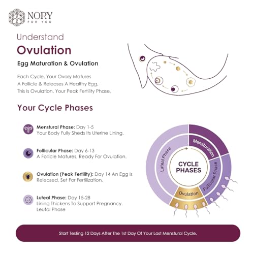Image of Nory Ovulation Test Kit Combo of 10 Strips for Women Family Planning to get Pregnant Naturally, Early Detection for Female Fertility Baby Conceive Predictor for Home