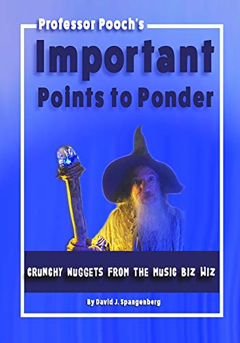 Important Points to Ponder: Crunchy Nuggets from the Music Biz Wiz