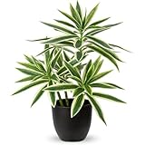 Villa Como フェイクグリーン インテリアグリーン 人工観葉植物 盆栽 造花 室内 新築祝い 開店祝い 新年 クリスマス オフィス 店 卓上 おしゃれ