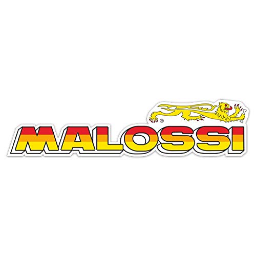 Joue mobile variateur Malossi : accélération fluide Honda 400 SW