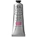 Winsor & Newton Professional Acrylic Paint, 60ml (2-oz) Tube, Potters Pink