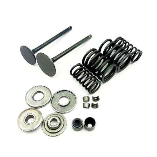 Kit de reconstrucción de válvulas para ATV 300B y FA-D300