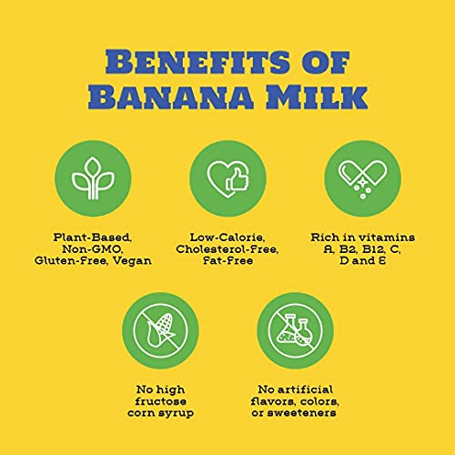 Banana Wave Banana Milk | Vegan Oat Milk, Gluten Free, Vitamins, Fiber & Potassium, Dairy Free, Low Calorie, Plant Based, Fat Free, Lactose Free, Non-Gmo | Strawberry, 32 Fl Oz (1 Pack) #TOP2