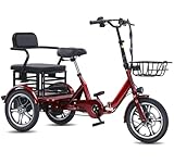 NOMIGO Two Seater Electric Tricycle for Adults Peak 1200W Motor 48V15Ah E Trike,Pedal...