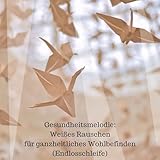 Entspannungsraum: Weißes Rauschen im Gesundheitszentrum (Endlosschleife)