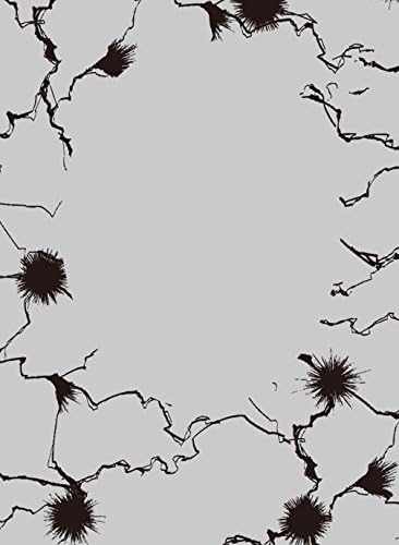 Amazon キャラクタースリーブプロテクター 世界の文様 ライトニング トレカ 通販