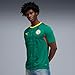 PUMA Men's Senegal FA Away Jersey Replica, Wild Green- Red SS26, XX-Largearge Fsf Replica