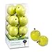 FloraCraft 15 Piece Decorative Mini Fruit Green Apple
