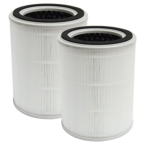 Homeland Goods Replacement Filter TPAP001 Air Purifier, 4-in-1 Pre-Filter, H13 True HEPA, ap001 Allergen Absorber Air Filter 2 Pack