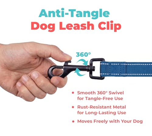Image of Best Pet Supplies Voyager Reflective Dog Leash or Collar with Neoprene Handle, for Small, Medium, and Large Breed Puppies, Cute and Heavy Duty for Walking, Running and Training - Royal Blue (Leash), L