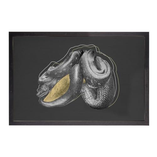 Paillasson noir python tapis serpent biologie entrée chic 75x50 - 2