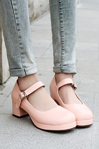 Classic Mary Jane Shoes for Women Round Toe Low Block Heel Leather Buckle Strap Cute Lolita Cosplay Shoes Comfortable Daily Wear Shoes2