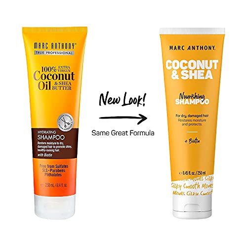 Marc Anthony Oil Shea Butter Hydrating Shampoo Ounces, Coconut, 8.4 Fl Oz #TOP1