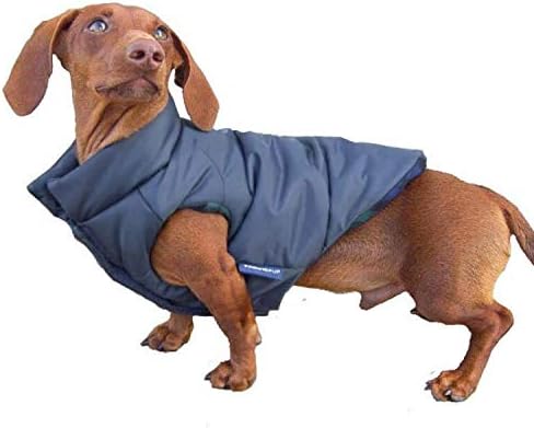 patagonia dog vest