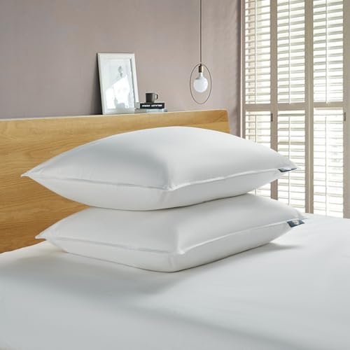 Almohada plumas y plumón de ganso tamaño estándar