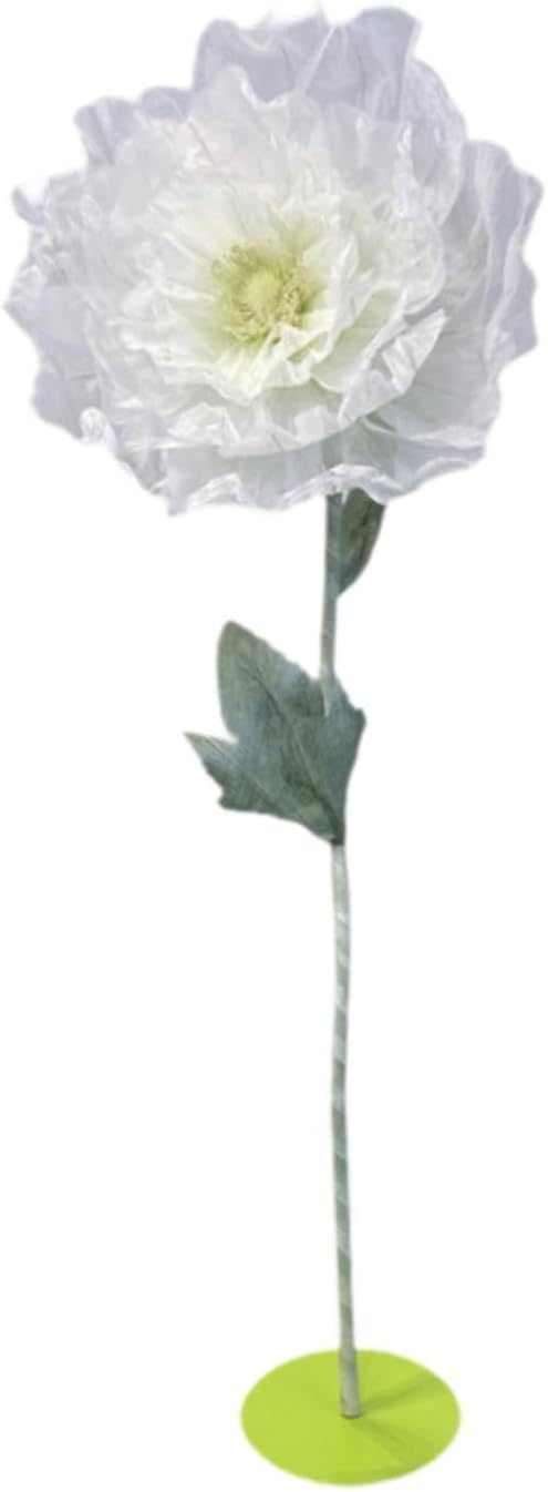 旅人の木開花前6節 タビビトノキ（旅人の木）の増やし方