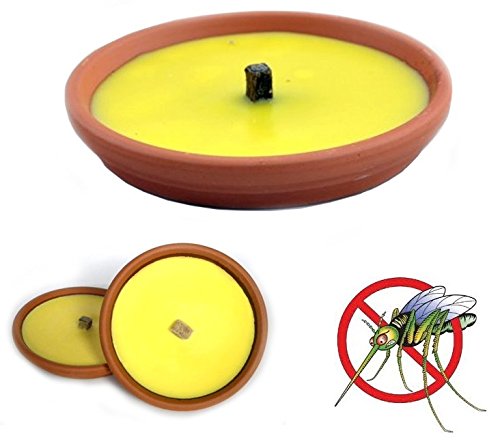 Juego de 10 velas de citronela de terracota de 15 cm para jardín