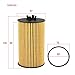FLYPIG HU612/2X Engine Oil Filter Replacement for Chevy Cruze 2010-2019 GMC Canyon 3.6L 2017-2022 Buick Encore 1.4L 2013-2021 Replaces 55576499 55588497 55594651 93185674 5650359 5PCS