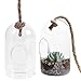 MyGift Hanging Planter Plant Terrarium, Clear Glass Cylindrical Succulent Holder with Top Knot Hanger Rope, Set of 2