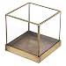 5 inch Vintage Brass Frame and Glass Display Case, Decorative Cube Plant Terrarium