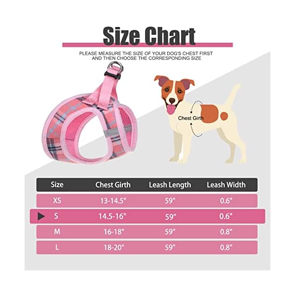 PAWCHIE Dog Harness and Leash Set – No Pull Soft Air Mesh Dog Vest Harness, Adjustable Comfort Padded Harness for Extra-Small/Small Medium Large Dogs Cats PAWCHIE Dog Harness and Leash Set – No Pull Soft Air Mesh Dog Vest Harness, Adjustable Comfort Padded Harness for Extra-Small/Small Medium Large Dogs Cats