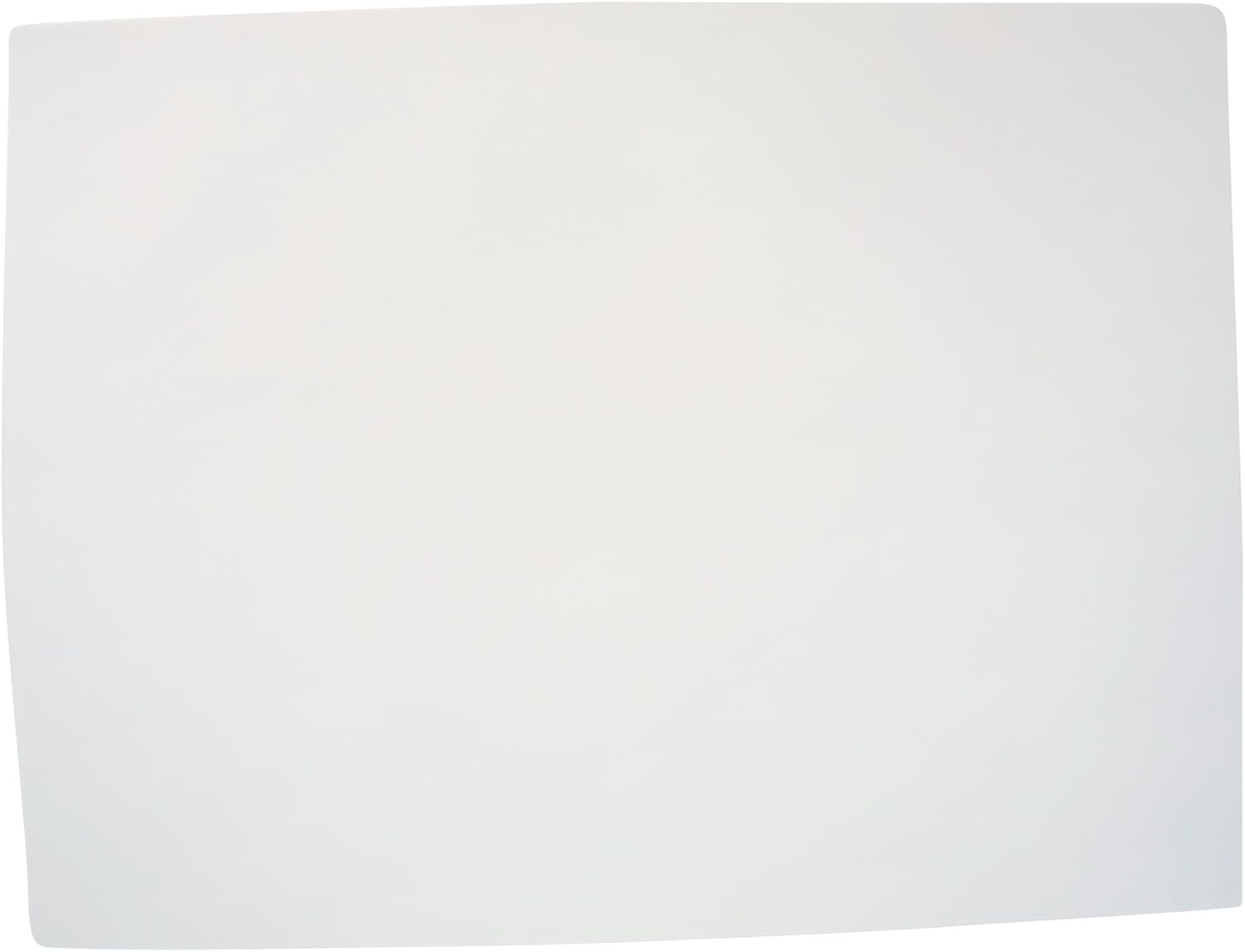 Paper Pen and Ink White 18X24 80 LB 100 SHTS