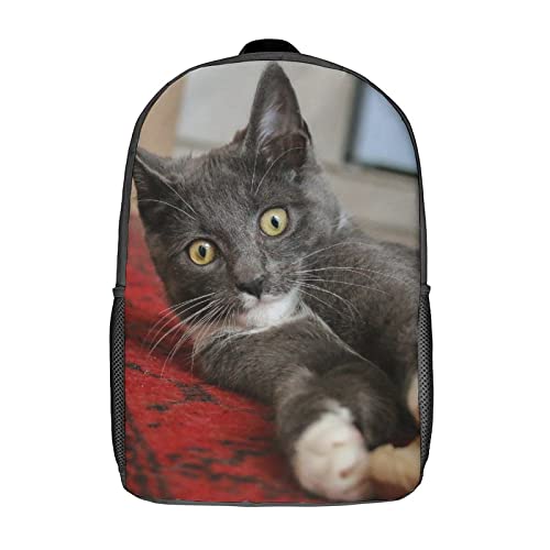 Sac à dos chat pour enfants de 17 pouces cartable imprimé 3D mixte