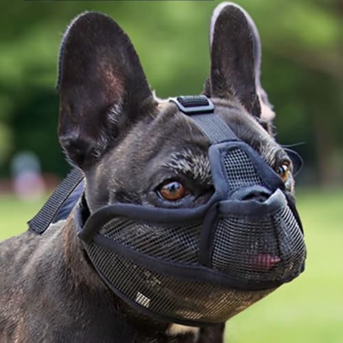 Focinheira Ajustável para Cachorro de Focinho Curto Bulldog, Shih Tzu, Pug, Pequinês e outras raças