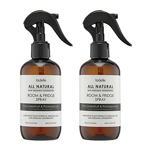 Spray pièce et réfrigérateur Ladelle élimine mauvaises odeurs 250ml