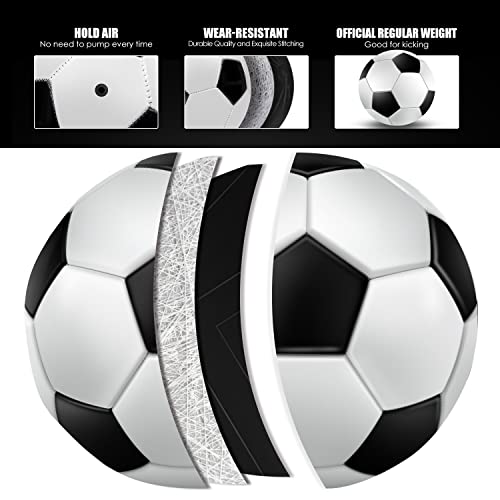Jiaonun 6 Pack Classic Soccer Balls Size 5 Inflatable With Pump For Kids,Youth And Adults, Black And White Soccer Ball Bulk (Size5,6Pack) #TOP2