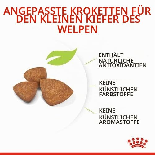 Royal Canin X-SMALL Puppy | Doppelpack | 2 x 500g | Trockenfutter für Welpen sehr Kleiner Hunderassen | Kann zur normalen Funktion des Immunsystems beitragen | Mit Omega-3