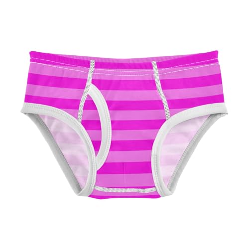 Pink Purple Stripe Toddler Boy's Underwear 2T