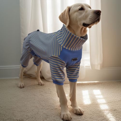 ^p񕜃X[cAppW}ApW}AZ[^[A~fBAArߖh~AیA^E^E^pXgCvpW},u[,2XL