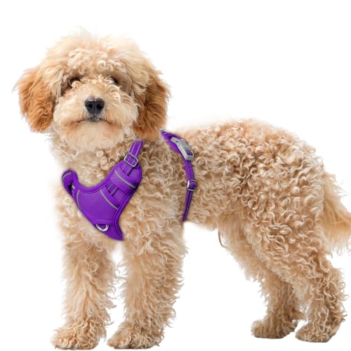 BARKBAY No Pull Dog Harness Large Reflective Dog Harness with Front Clip and Easy Control Handle for Walking Training Running with ID tag Pocket(Purple,XS) by BARKBAY - Used condition - US$22.14