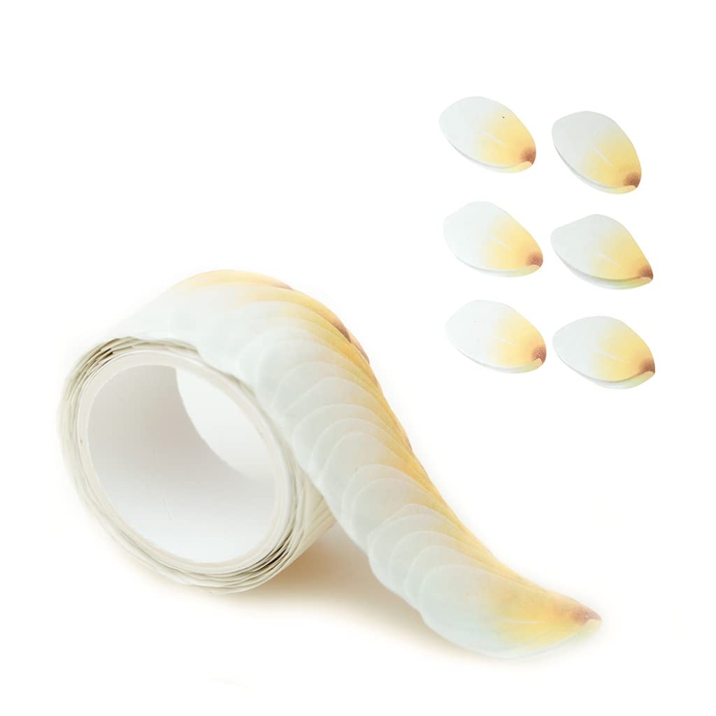 Creative Flower Petal Washi Tape, Masking Stickers S,Journal, Scrapbooking Bottle