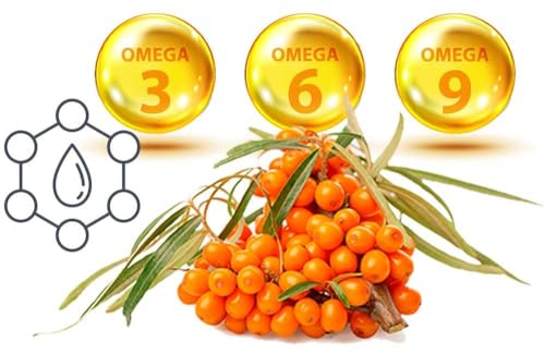 Image of Easygrow Whole Sea Buckthorn Berry - 400 gm , Natural Sea Buckthorn Berries for Skin, Rich in Collagen, Vitamins & Phytonutrients (400 gm)