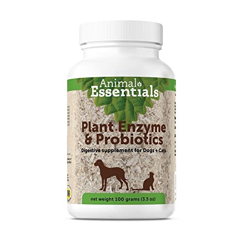 Find The Best Digestive Enzymes For Cats Reviews & Comparison Katynel