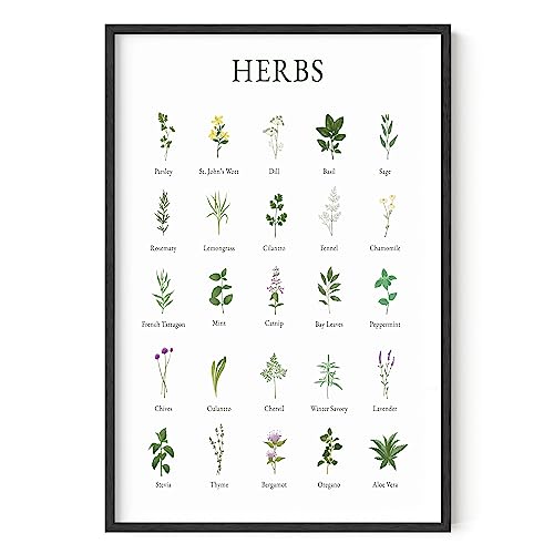 HAUS AND HUES Herb Pictures for Kitchen Wall Art -