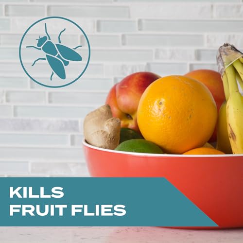 Stem Kills Fruit Fly Trap: Fruit Fly Catcher With Botanical Extracts; 5.4 fl oz (Pack Of 3) - Thumbnail 2