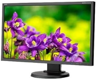 NEC Multisync E243WM LCD Monitor (Renewed)
