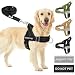 SlowTon No-Pull Harness & Leash Set