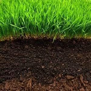 Image of Leafly Organic Fertilizer Potting Soil Mix Fertilizer for Plants (1 Kg)